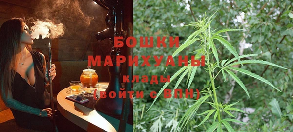 шишки Куйбышев